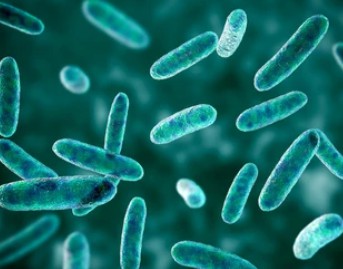 Advancements in Protein Methylation Research
